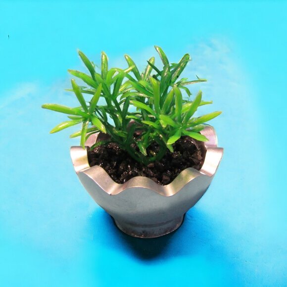 Aquarium Decoration - Silver Wavy Pot with Small Green Plant. - Picture 4 of 6